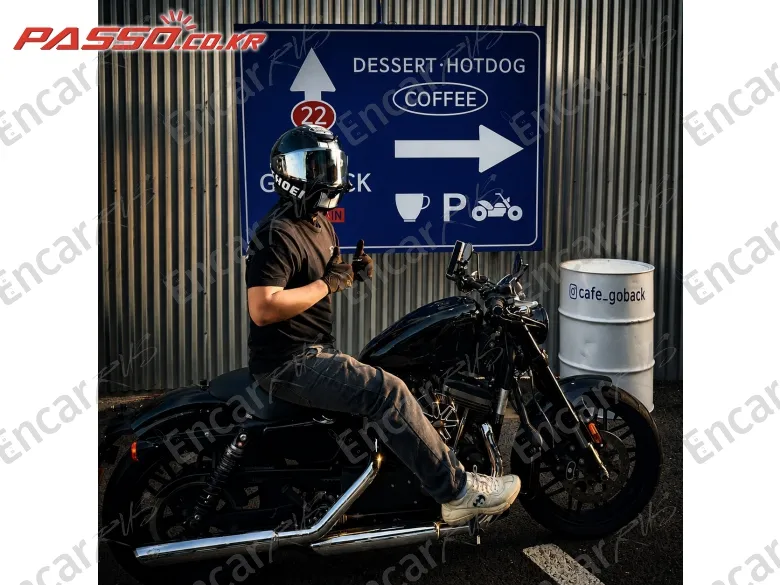 Harley-Davidson Roadster 1200 - фото 2