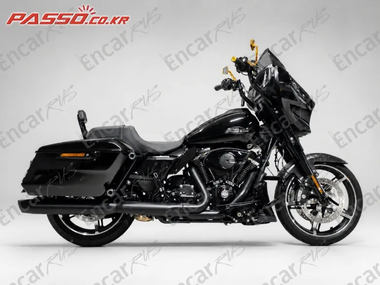 Harley-Davidson Flhx 2024, фото 1