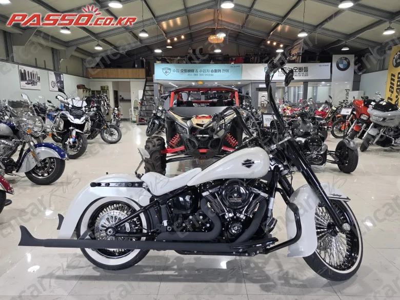 Harley-Davidson Flstc 2018, фото 1