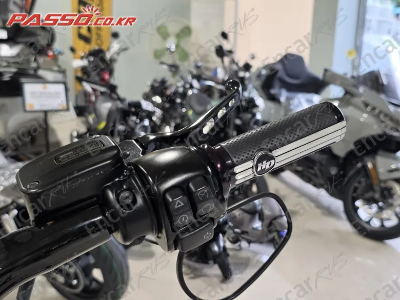 Harley-Davidson Flstc - фото 3