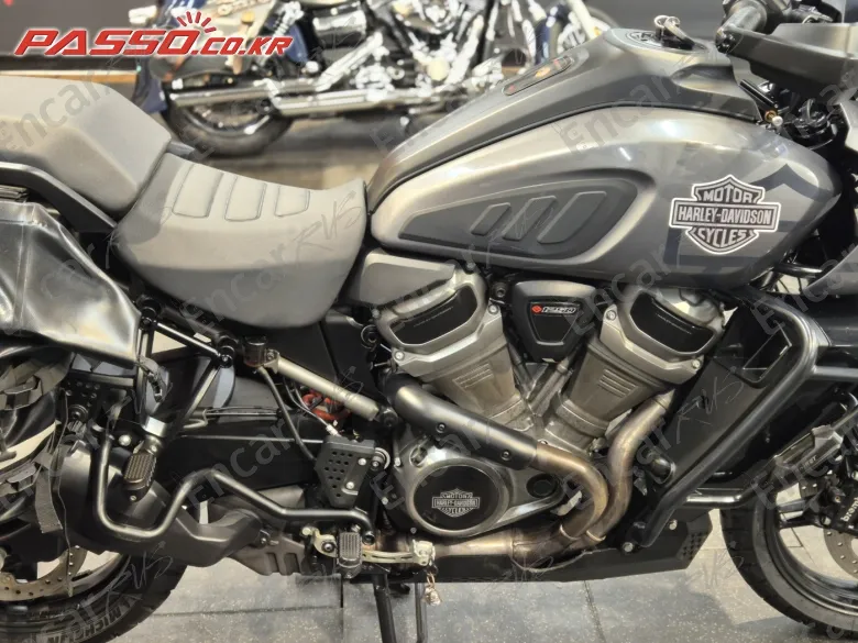 Harley-Davidson Pan America 1250 Special 2021, фото 1