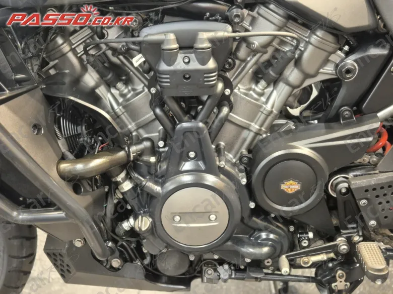 Harley-Davidson Pan America 1250 Special - фото 4
