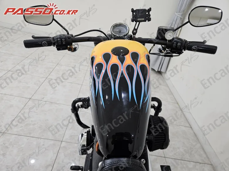 Harley-Davidson Roadster 1200 - фото 3