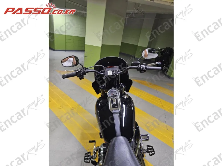 Harley-Davidson Sport Glide - фото 3