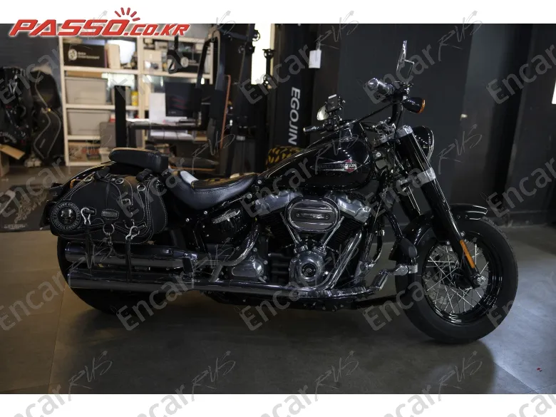 Harley-Davidson Softail Slim 2020, фото 1