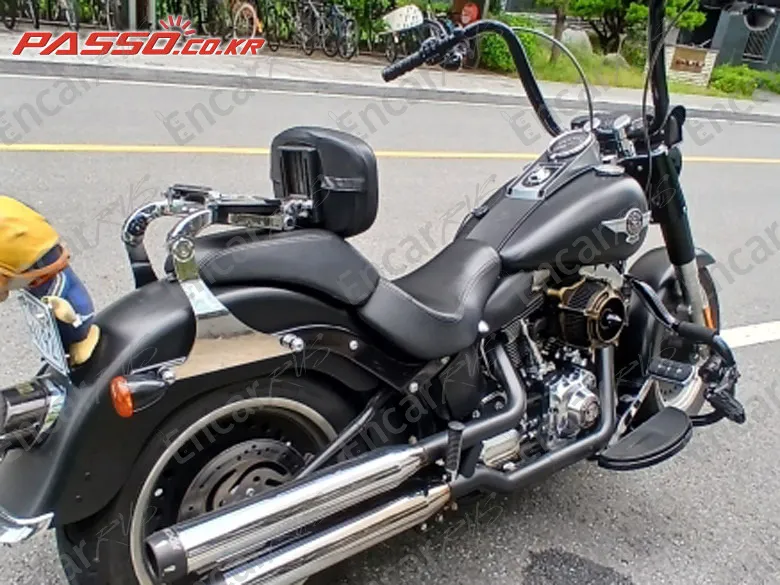Harley-Davidson Flstfb 2017, фото 1