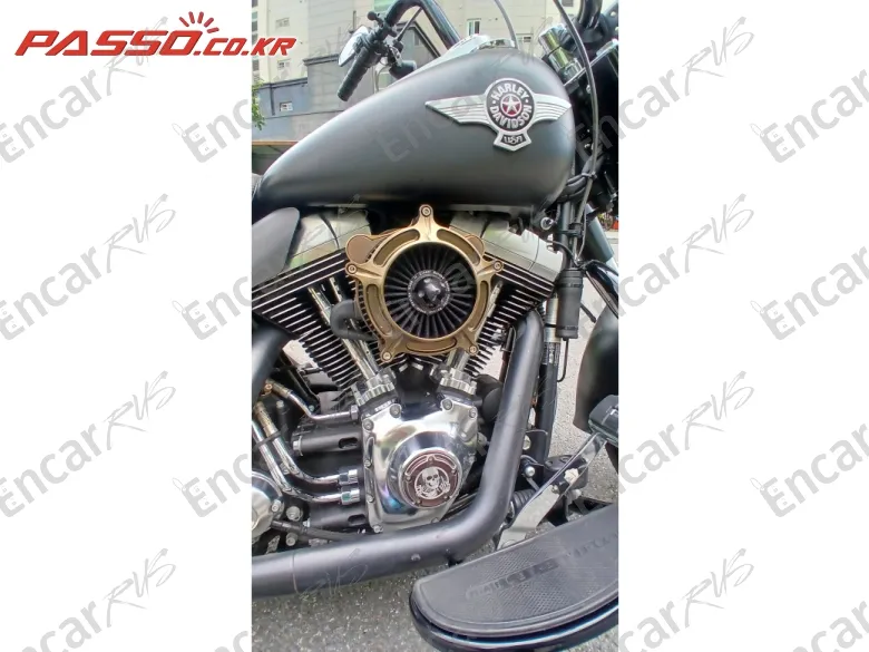 Harley-Davidson Flstfb - фото 4