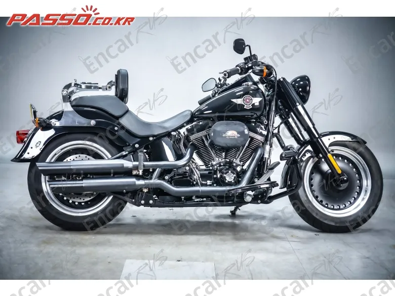 Harley-Davidson Flstfbs