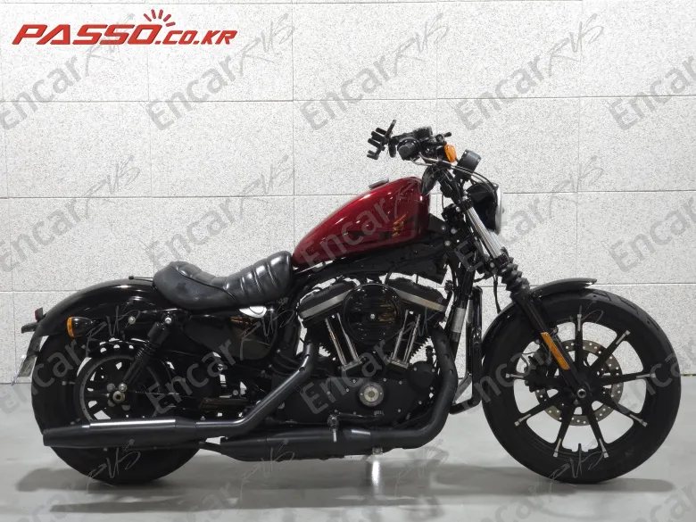Harley-Davidson Xl 883 N 2017, фото 1