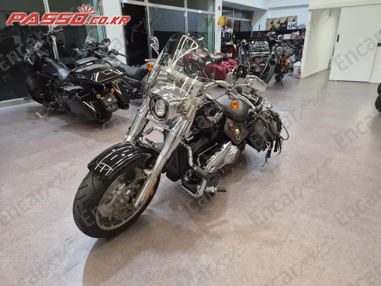 Harley-Davidson Fat Boy 114 - фото 5