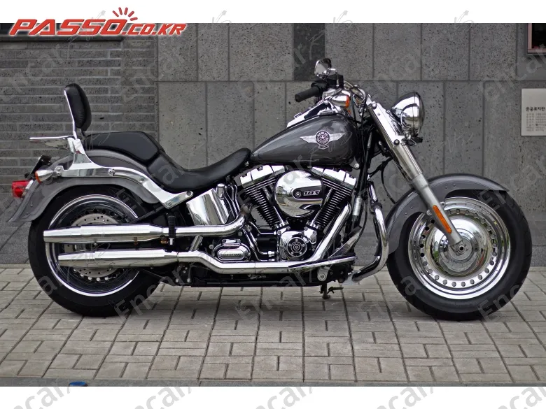 Harley-Davidson Flstf 2016, фото 1