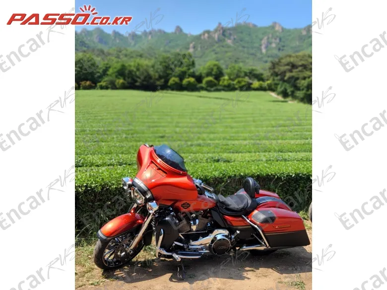 Harley-Davidson Flhxse - фото 1