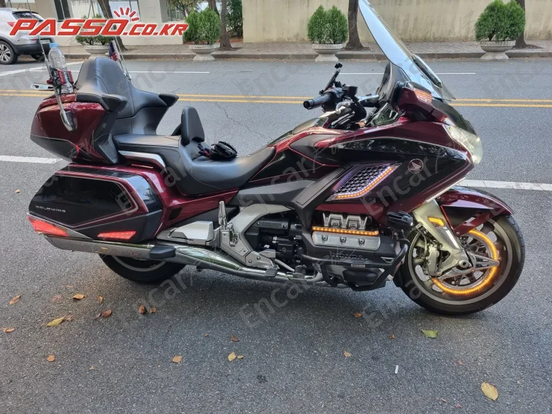 Honda Goldwing Tour DCT Airbag 2018, фото 1