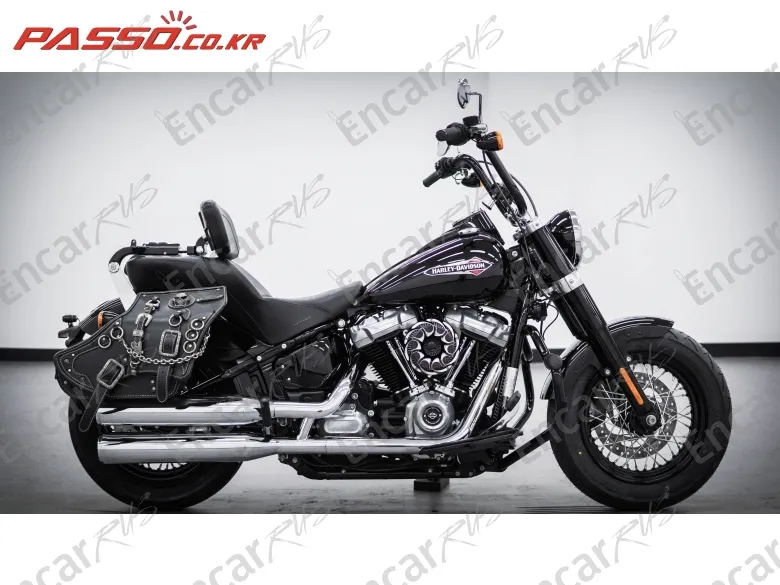 Harley-Davidson Softail Slim 2020, фото 1