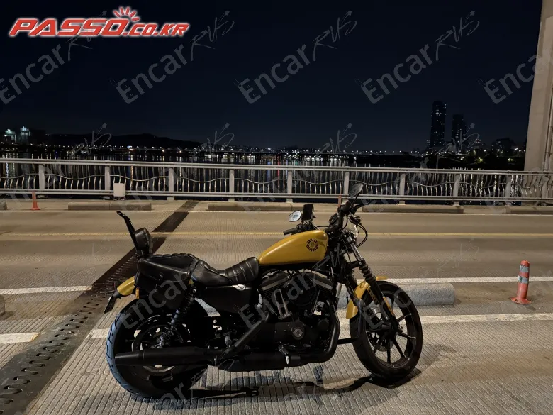 Harley-Davidson XL 883 N 2019, фото 1