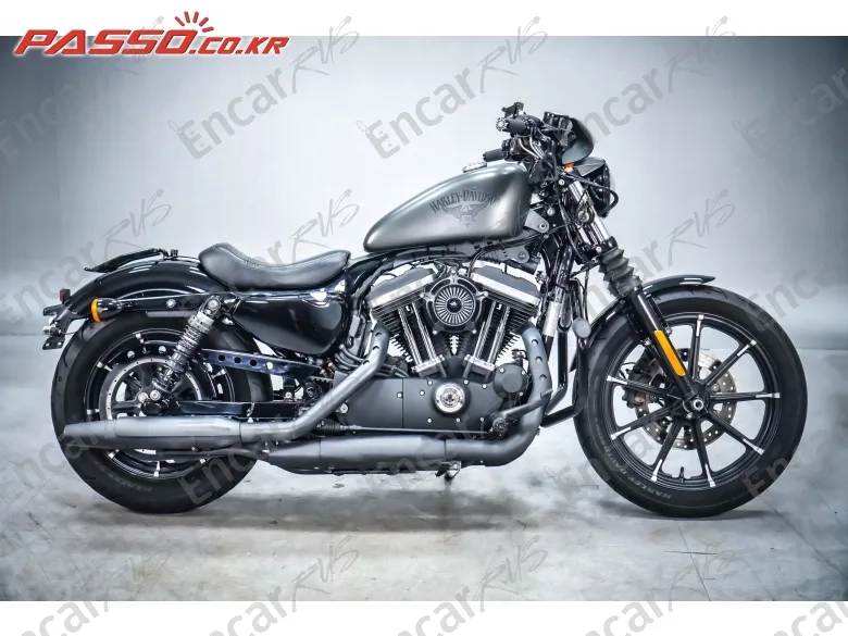 Harley-Davidson XL 883 N 2018, фото 1