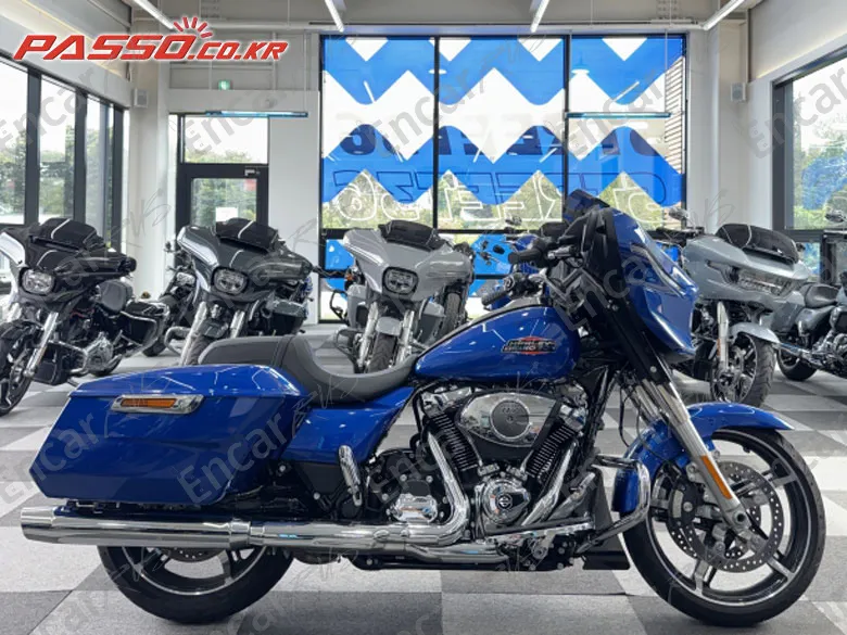 Harley-Davidson Flhx 2025, фото 1