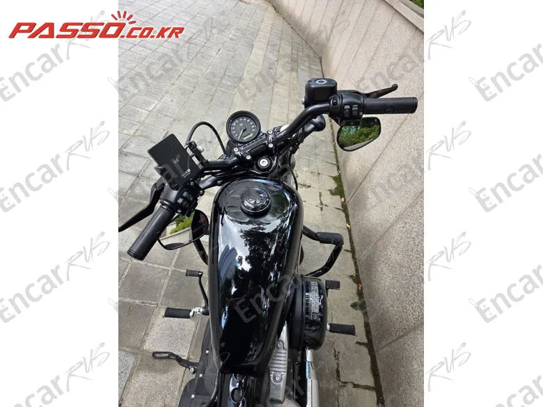 Harley-Davidson Xl 1200 X Forty Eight 48 - фото 3